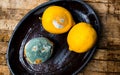 Moldy lemon fruit on a wooden table