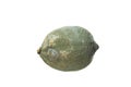 Moldy lemon isolated Royalty Free Stock Photo