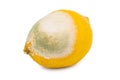 Moldy lemon isolated on white Royalty Free Stock Photo