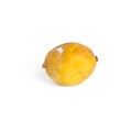Moldy lemon isolated on white background. Royalty Free Stock Photo
