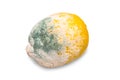 Moldy lemon Royalty Free Stock Photo