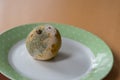 Moldy lemon - mold on food