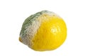 Moldy lemon Royalty Free Stock Photo