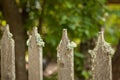 Moldy old wooden white picket fence in front of a green garden Royalty Free Stock Photo