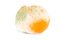 Moldy orange isolated on white Royalty Free Stock Photo