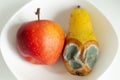 Moldy pear with mold and fresh apple on plate Royalty Free Stock Photo