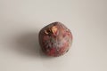 Moldy pomegranate fruit on a glossy table. Place for text