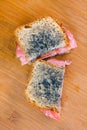 Moldy sandwich with salami