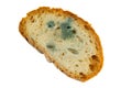 Moldy slice of bread on a white background Royalty Free Stock Photo