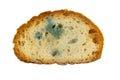 Moldy slice of bread on a white background Royalty Free Stock Photo