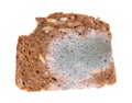 Moldy slice of bread on white background Royalty Free Stock Photo