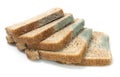 moldy sliced wheat bread