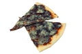 Moldy slices of cheese pizza close-up isolated on white background Royalty Free Stock Photo