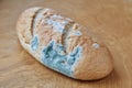 Moldy bread on a wooden background. Improper storage of food