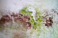 Moldy stone wall through damp walls structure photographed in daylight