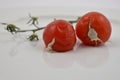 Moldy tomato stock images