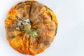 Moldy ugly pumpkin with rotten spots on a white background. Selective focus. Space for text