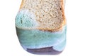 Moldy uneatable spoiled food. Mold on rye bread isolated on white background, selective focus Royalty Free Stock Photo