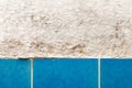 Moldy wall in bathroom with blue tile closeup Royalty Free Stock Photo