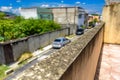 The moldy wall and blurry street with cars and residential houses in Bangu neighborhood, the West Zone of Rio de Janeiro