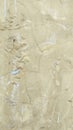 Moldy wall texture surface