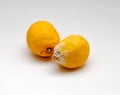 Moldy yellow lemon and fresh yellow lemon on isolated white background. Royalty Free Stock Photo