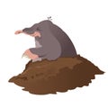 Mole Royalty Free Stock Photo