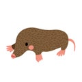 Mole animal cartoon character vector illustration
