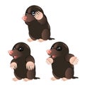 Mole animal character with different emotions