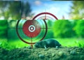 Mole Control Strategies A Candid Look at Pest Management Techniques Using Targeted Approach Royalty Free Stock Photo