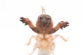 Mole cricket Royalty Free Stock Photo
