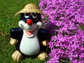 Mole in garden Royalty Free Stock Photo