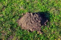 mole ground hill Royalty Free Stock Photo