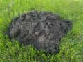 Mole ground hill on the grass Royalty Free Stock Photo