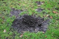 Mole hill on green grass. Royalty Free Stock Photo