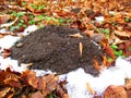 Mole hill Royalty Free Stock Photo