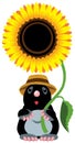 Mole holding sunflower