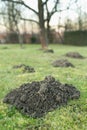 Mole hole in the garden Royalty Free Stock Photo