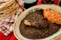 Mole Poblano Traditional Mexican Food with Chicken in Mexico Royalty Free Stock Photo