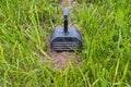 Mole trap set on the lawn