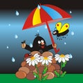 Mole and umbrella, rain, funny postcard