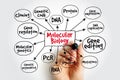 Molecular Biology mind map showing cloning, DNA, protein, gene expression, editing, mutations, RNA, PCR, engineering, genetics. Royalty Free Stock Photo