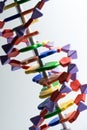 Molecular, DNA and atom model in science research lab Royalty Free Stock Photo