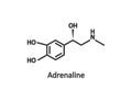 Molecular formula of adrenaline icon. Structure of molecule epinephrine symbol. Sign substance released during shock vector Royalty Free Stock Photo