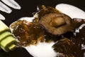 Molecular gastronomy - mushroom soup Royalty Free Stock Photo