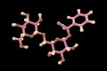 Molecular model of amygdalin, laetrile, vitamin B17, 3d illustration Royalty Free Stock Photo