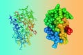 Molecular model of angiogenin, a potent stimulator of new blood vessels through the process of angiogenesis. Rendering