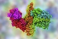 Molecular model of botulinum neurotoxin