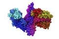 Molecular model of botulinum neurotoxin