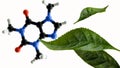 A molecular model of caffeine with tea leaves Royalty Free Stock Photo